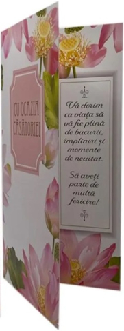 Felicitare Cu ocazia casatoriei 100 x 210 mm [2]