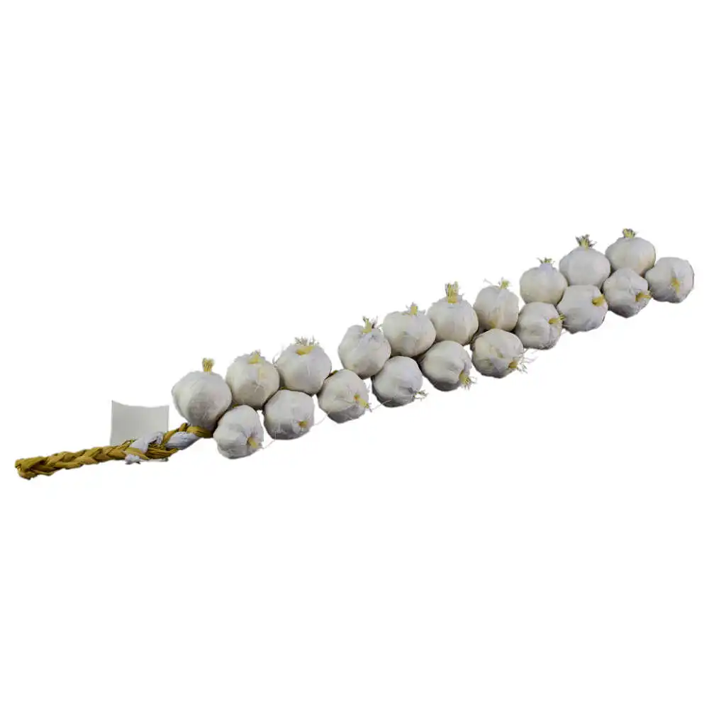 Noutăți Librăria Compas - Decor artificial pentru bucatarie Usturoi 5 x 4 x 40 cm