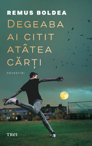Romane și literatură - Degeaba ai citit atatea carti - Remus Boldea