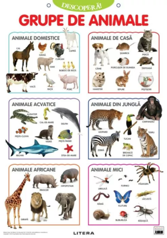 Cărți - Descopera! Grupe de animale (plansa educationala)