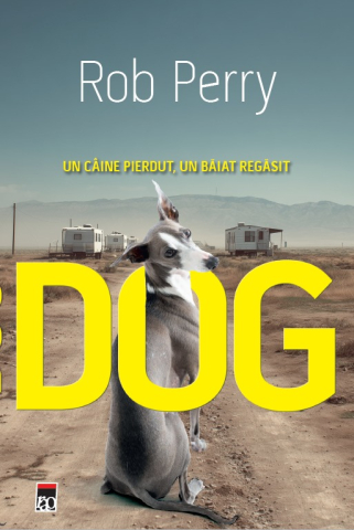 Romane și literatură - Dog. Un caine pierdut un baiat regasit - Rob Perry
