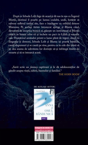 Drumul spre casa - Gavriel Savit [1]