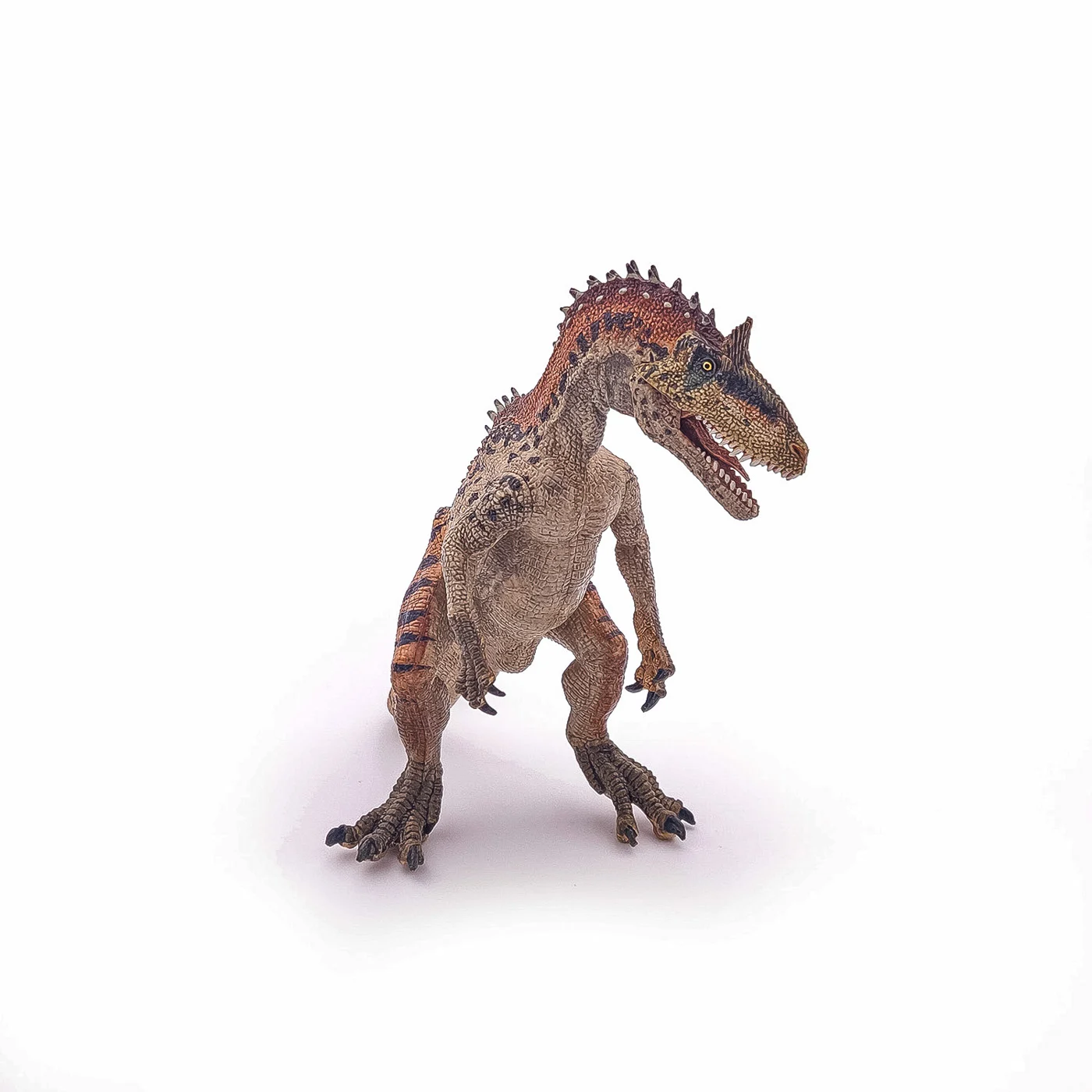 Noutăți Librăria Compas - Figurina Papo Cryolophosaurus 14.5 x 7 x 11.3 cm