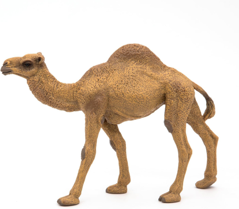 Figurina dromader 15 cm Papo [4]