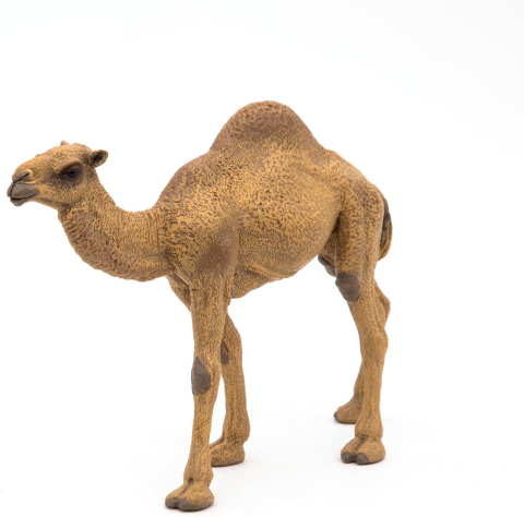 Figurina dromader 15 cm Papo [3]
