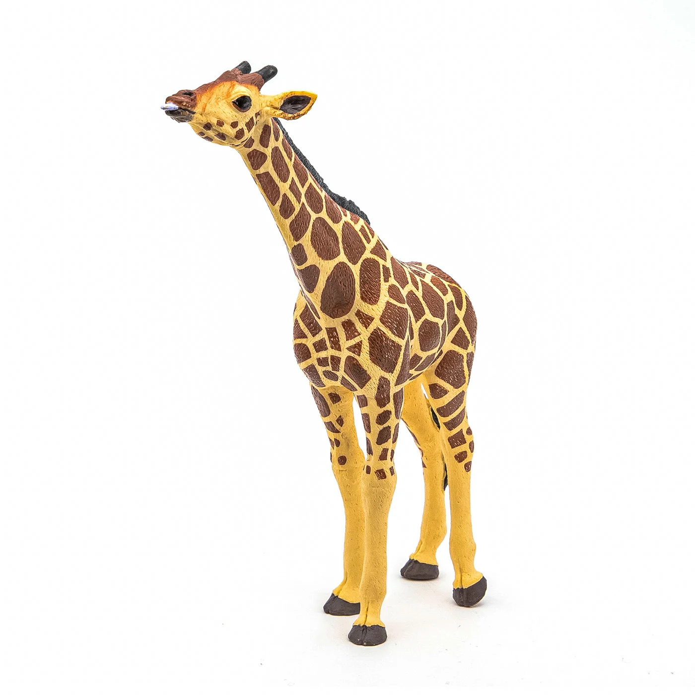 Noutăți Librăria Compas - Figurina Papo Girafa cu cap ridicat 15 x 3.7 x 16 cm