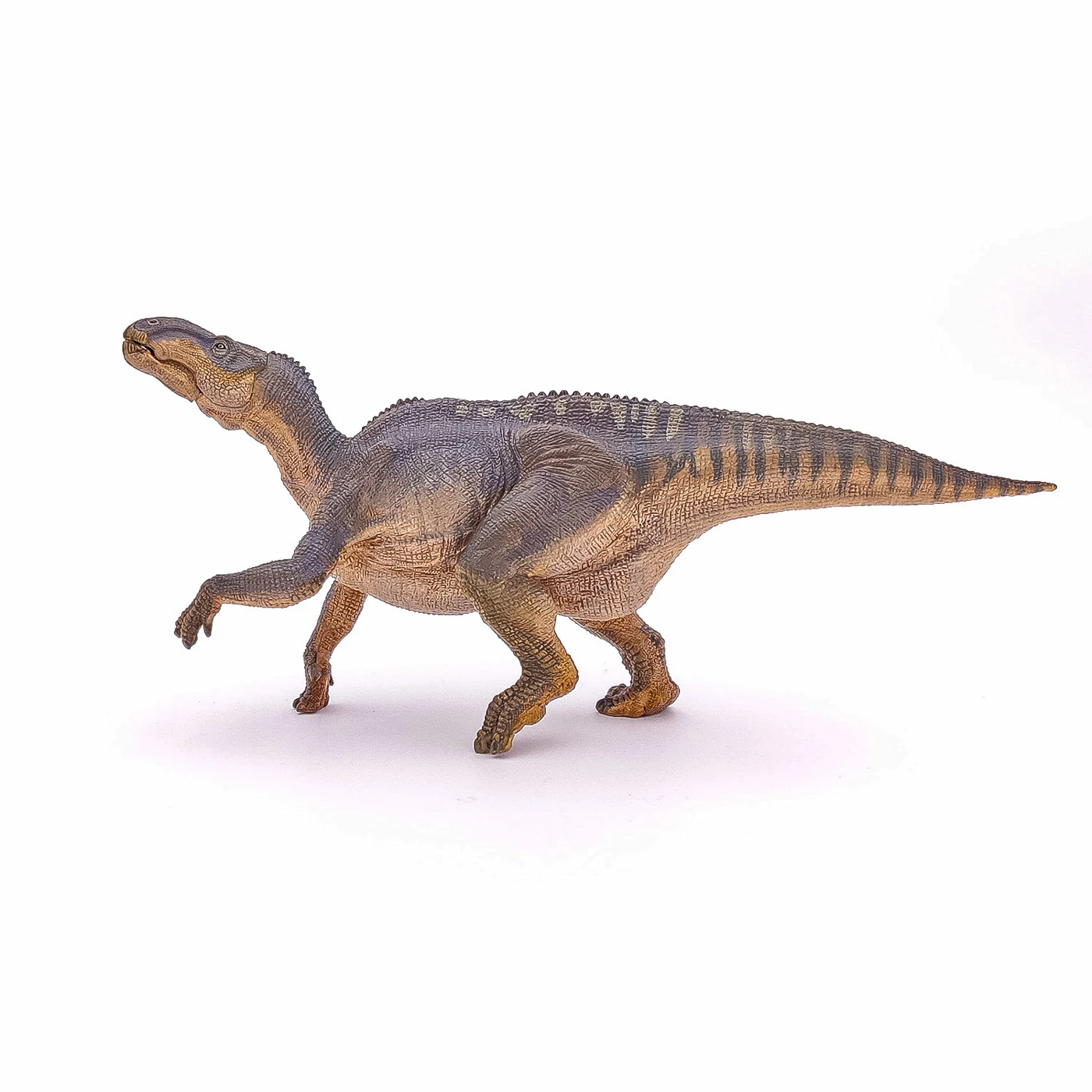 Noutăți Librăria Compas - Figurina Papo Iguanodon 24.5 x 6.5 x 10.5 cm