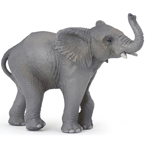 Noutăți Librăria Compas - Figurina pui elefant 9.5 cm Papo