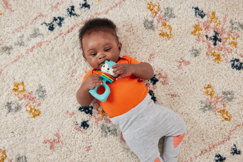 FISHER PRICE JUCARIE ZORNAITOARE CERB [3]