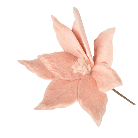 Floare Craciunita roz cu blanita 16 cm [1]