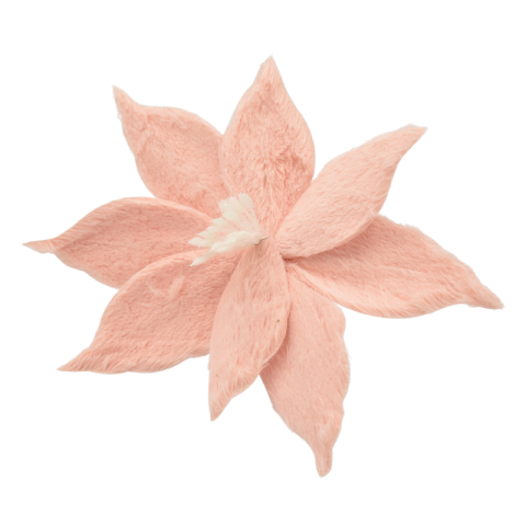 Decorațiuni de interior - Floare Craciunita roz cu blanita 16 cm