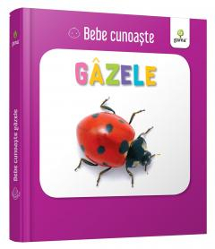 Cărți ilustrate și interactive - Bebe cunoaste. Gazele