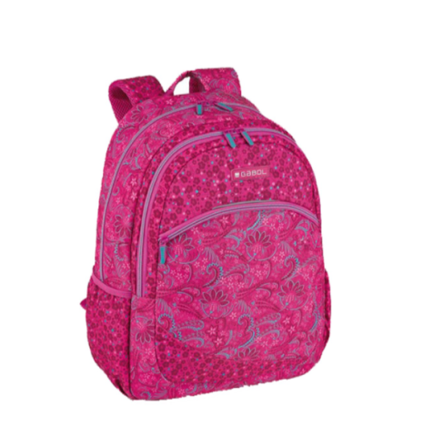 Ghiozdane școlare - Ghiozdan lily 2 compartimente 34x46x20cm Gabol roz