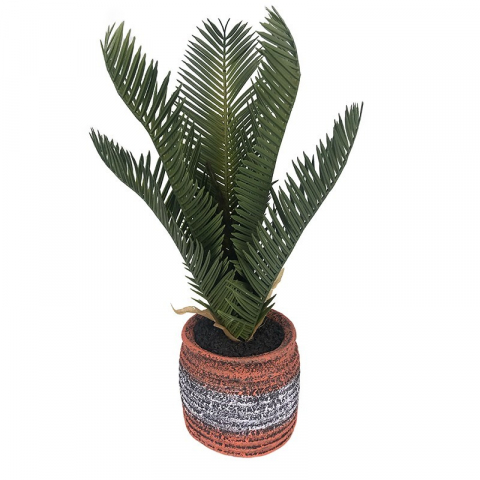 Casă și decorațiuni - Ghiveci ceramic cu feriga 13x35 cm