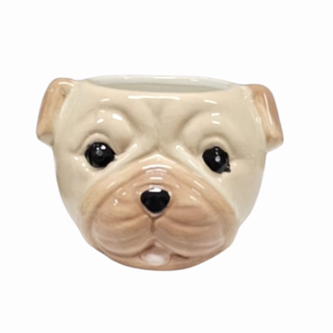 Ghiveci ceramic Catelus diverse rase 9 x 8 cm [4]