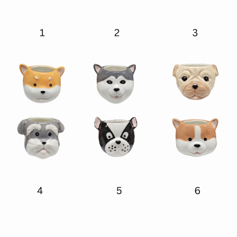 Ghiveci ceramic Catelus diverse rase 9 x 8 cm [1]