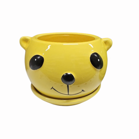 Ghiveci ceramic Koala diverse culori 12 x 8.5 cm [4]