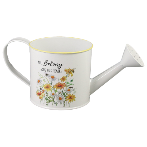 Noutăți Librăria Compas - Ghiveci tip stropitoare din metal 12x11 cm margarete