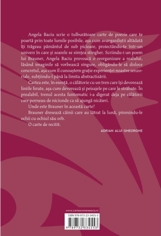 I-am scris lui Brauner un poem - Angela Baciu [1]