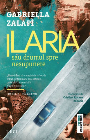 Romane și literatură - Ilaria sau drumul spre nesupunere - Gabriela Zalapi