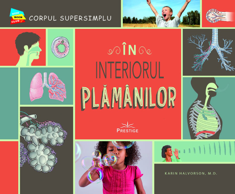 Noutăți Librăria Compas - In interiorul plamanilor - Karin Halvorson