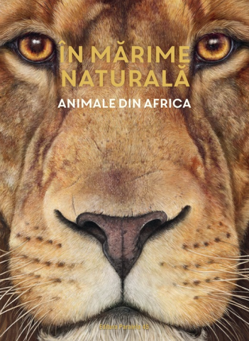Enciclopedii și atlase pentru copii - Animale din Africa - Haag Holger