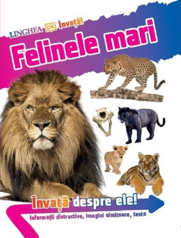 Cărți - Invata! Felinele mari