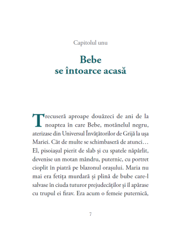 Invatatorii de Grija. Rocky - Alex Donovici [1]