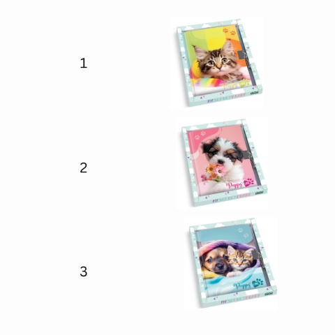 Jurnal Puppy cu cutie cadou 80 pagini 13 x 18cm modele diferite [1]