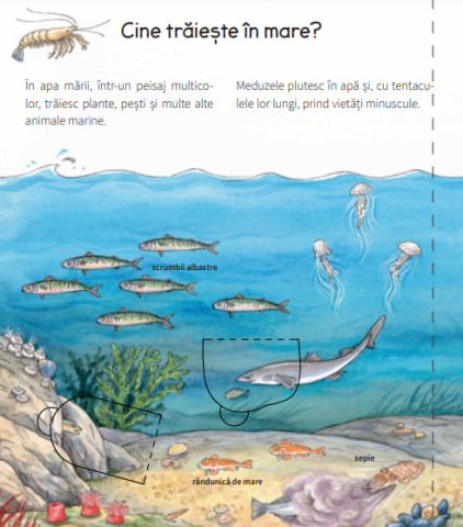 La mare - Andrea Erne [3]
