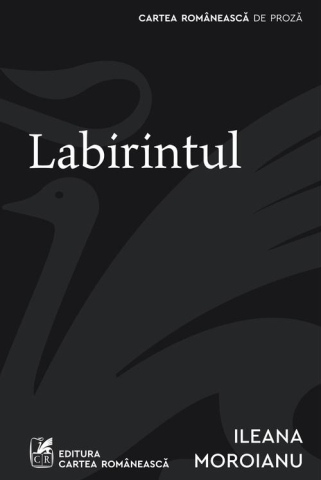 Literatură modernă și contemporană - Labirintul - Ileana Moroianu