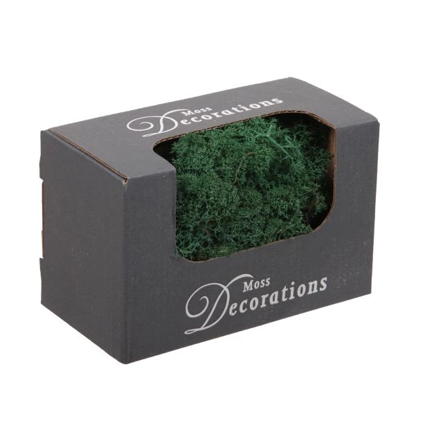 Casă și decorațiuni - Lichen islandez in cutie 50g verde inchis