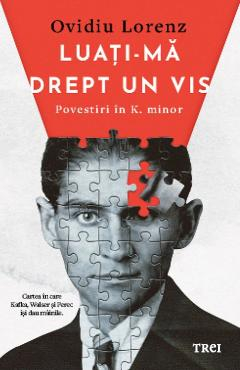 Cărți - Luati-ma drept un vis. Povestiri in K. minor - Ovidiu Lorenz