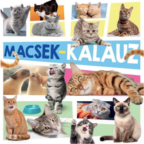 Enciclopedii și atlase pentru copii - Macsek kalauz