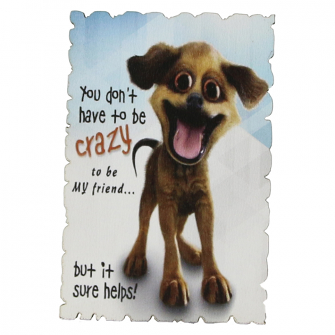 Casă și decorațiuni - Magnet frigider lemn You don’t have to be crazy 6×9 cm