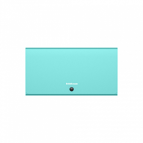 Mapa 12 compartimente ErichKrause Matt Pastel culori diferite [2]