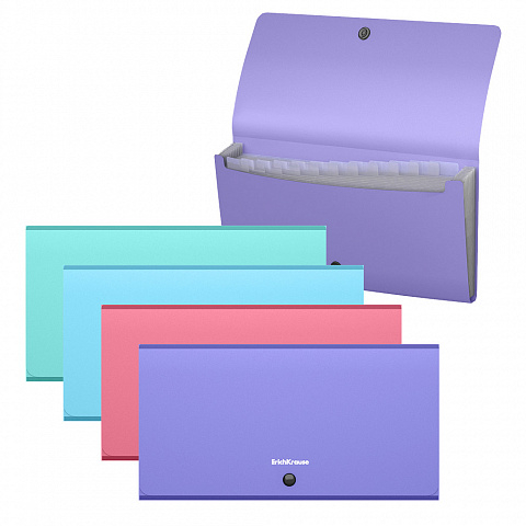 Noutăți Librăria Compas - Mapa 12 compartimente ErichKrause Matt Pastel culori diferite