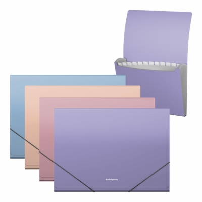 Birotică și accesorii birou - Mapa plastic A4 cu 13 compartimente Soft Manga Erich Krause culori diferite