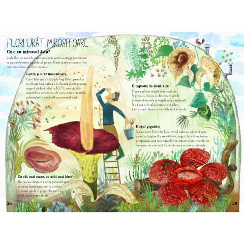 Marea carte despre flori - Yuval Zommer [3]