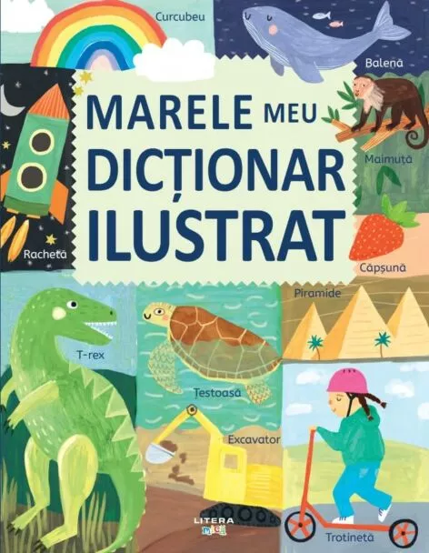 Cărți pentru copii - Marele meu dictionar ilustrat