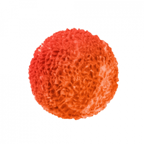 Minge squeezy 7.5 cm Toi-Toys [5]
