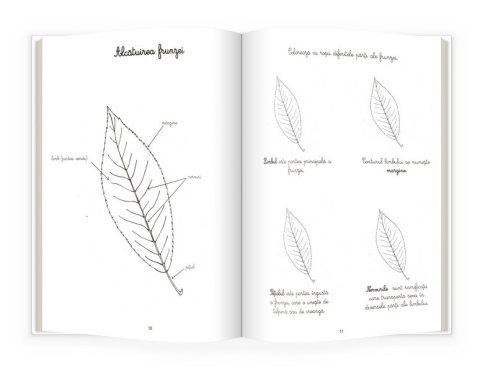 Natura si botanica. Activitatile mele Montessori - Eve Herrmann [1]