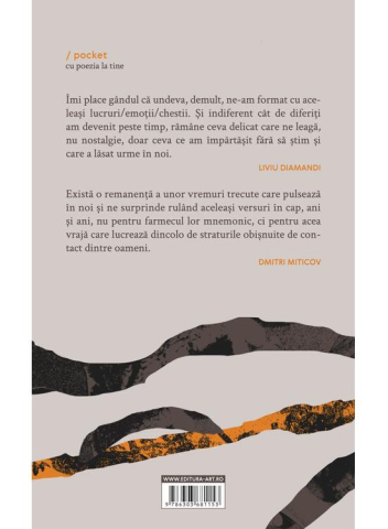 NVRN Nu va ramane nimic – Liviu Diamandi, Dmitri Miticov [1]