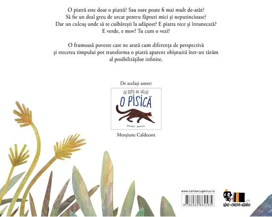 O piatra statea nemiscata - Brendan Wenzel [1]