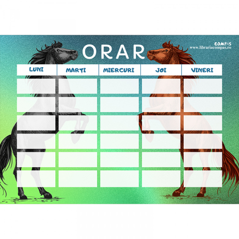 Orar A4 [3]