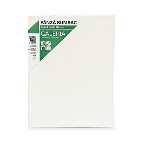 Noutăți Librăria Compas - Panza pe sasiu Galeria Studio 50 x 70 cm