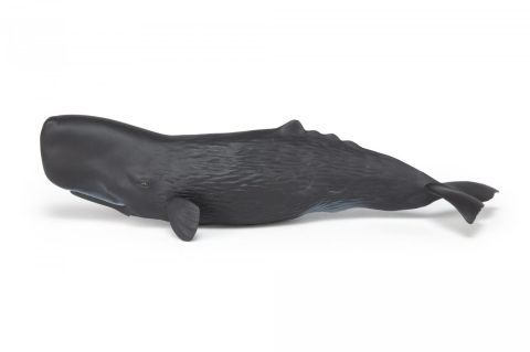 PAPO FIGURINA CASALOT [1]