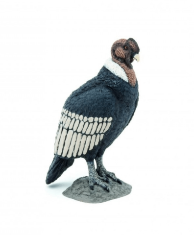 Noutăți Librăria Compas - Figurina condor 8.5 cm Papo