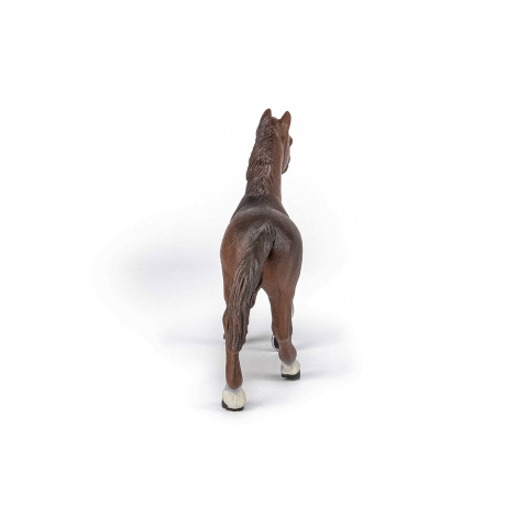 PAPO FIGURINA IAPA ANGLO-ARABA [6]