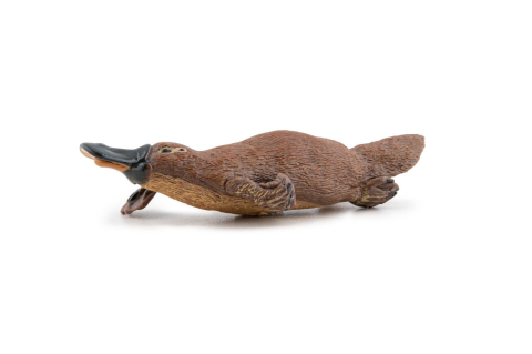 PAPO FIGURINA ORNITORINC [6]